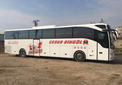 cesur bingol turizm otobus bileti turkiyeotobusfirmalari com