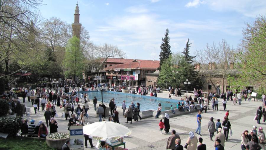 bursa