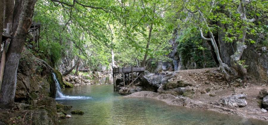 kahramanmaraş döngel